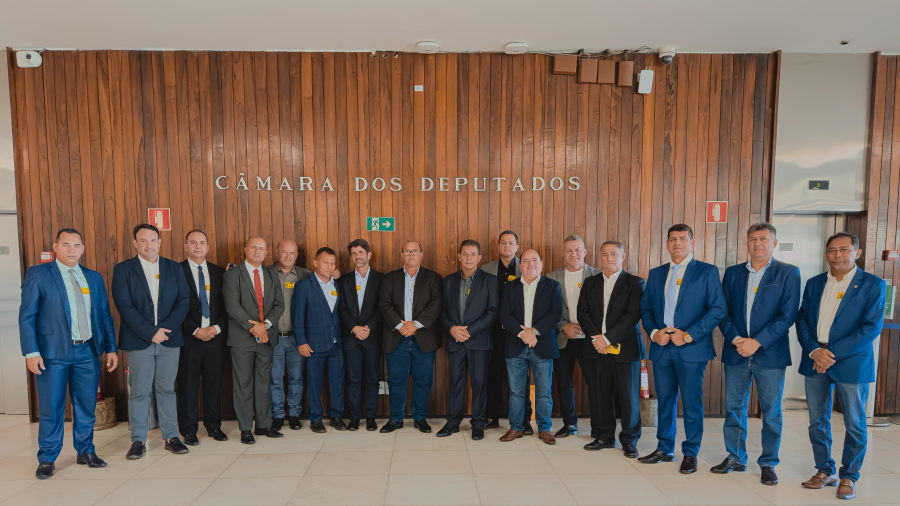 Vereadores iniciam visitas aos gabinetes de parlamentares em Brasília